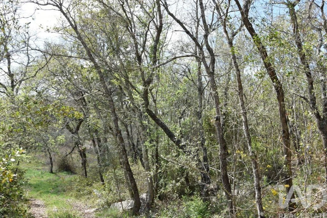 Terreno para Venda em Chãos Foto 3