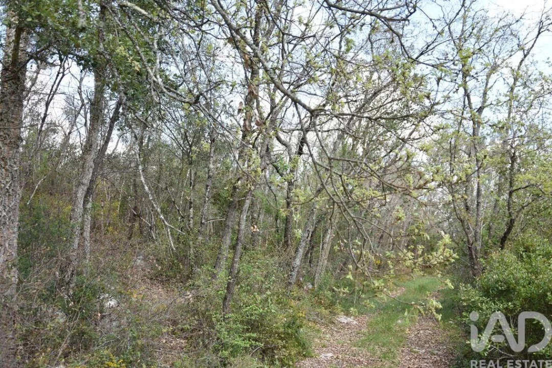 Terreno para Venda em Chãos Foto 1