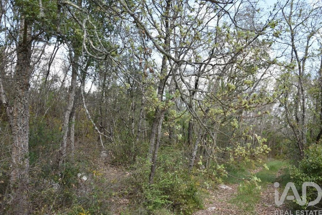 Terreno para Venda em Chãos Foto 8