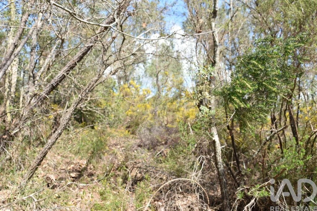Terreno para Venda em Chãos Foto 5