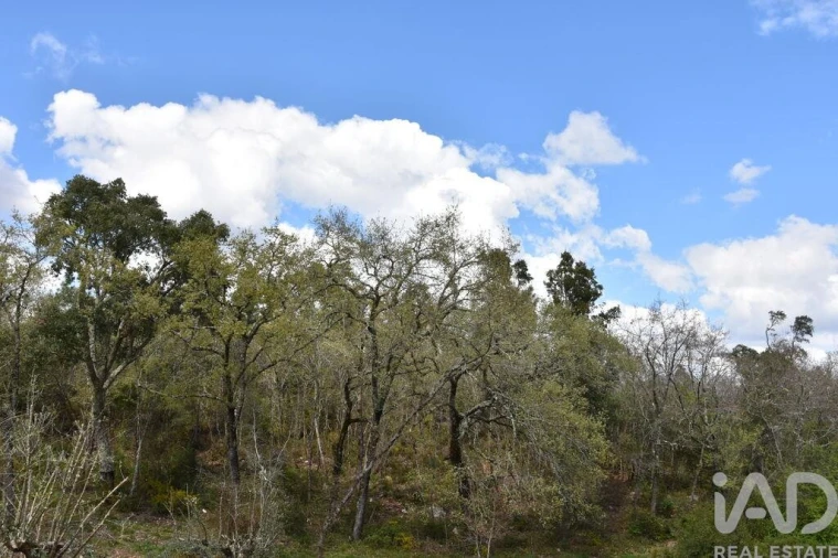 Terreno para Venda em Chãos Foto 9