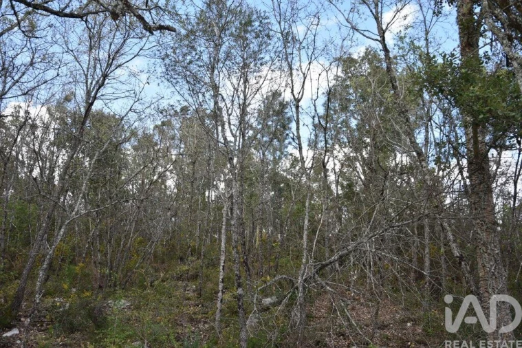 Terreno para Venda em Chãos Foto 14