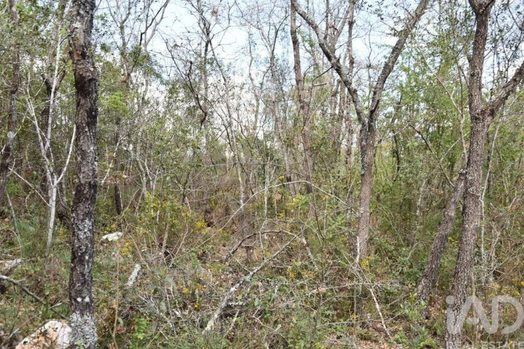 Terreno para Venda em Chãos Foto 17