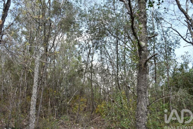 Terreno para Venda em Chãos Foto 15