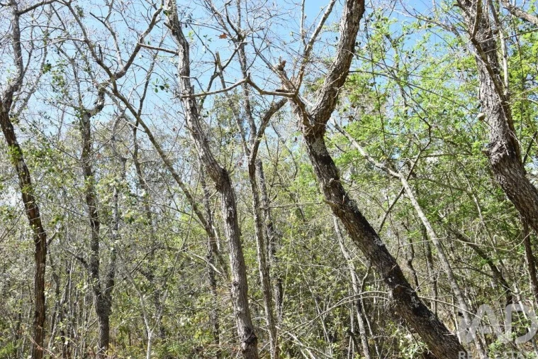 Terreno para Venda em Chãos Foto 23