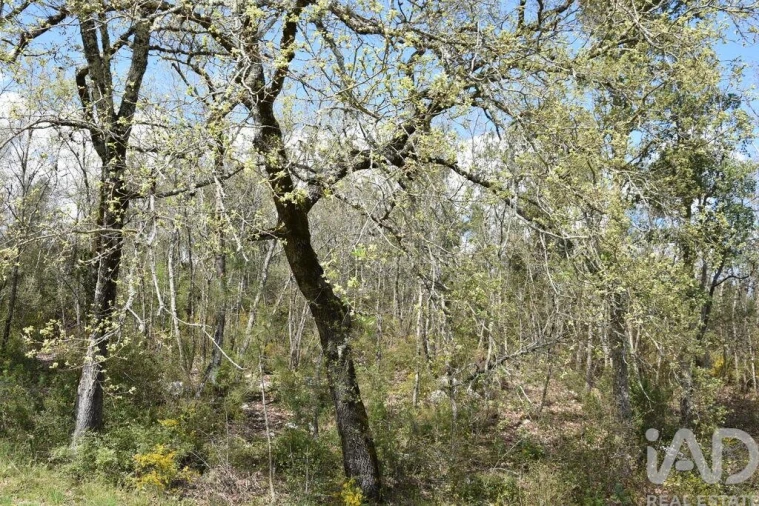 Terreno para Venda em Chãos Foto 7