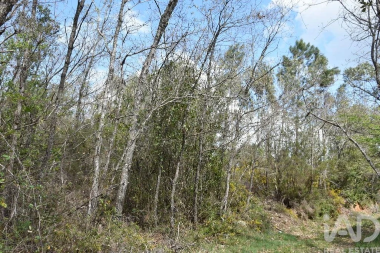 Terreno para Venda em Chãos Foto 6