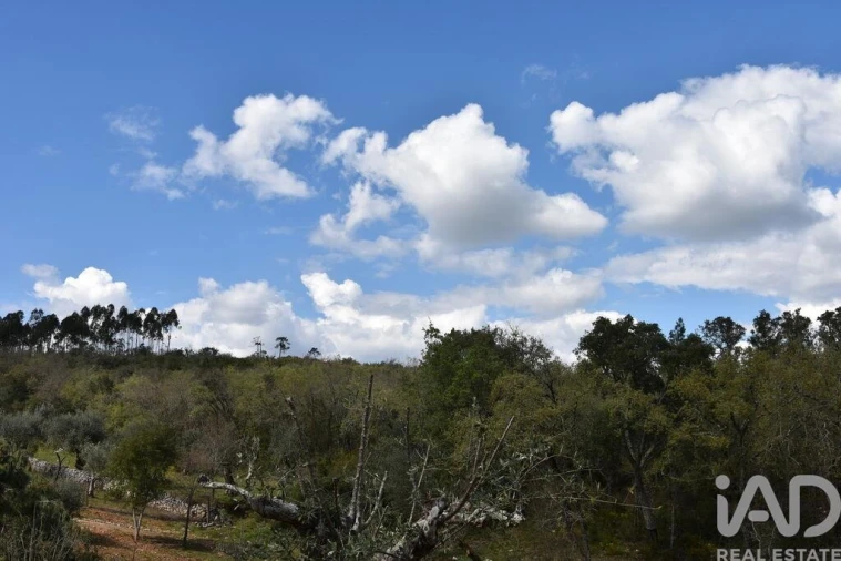 Terreno para Venda em Chãos Foto 29
