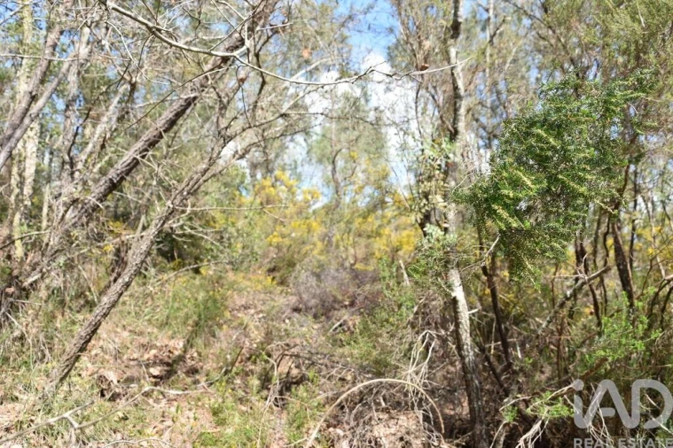 Terreno para Venda em Chãos Foto 5