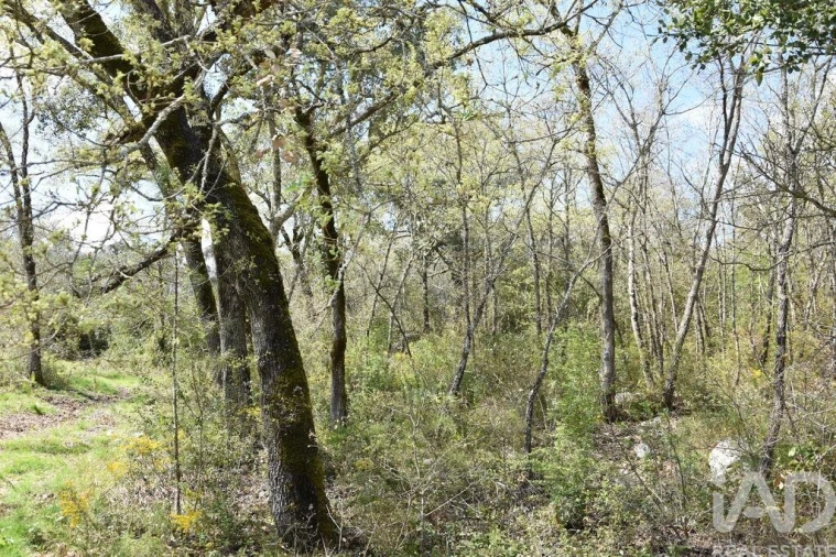 Terreno para Venda em Chãos Foto 4