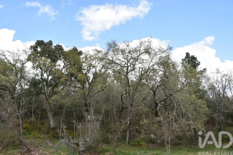 Terreno para Venda em Chãos Foto 10