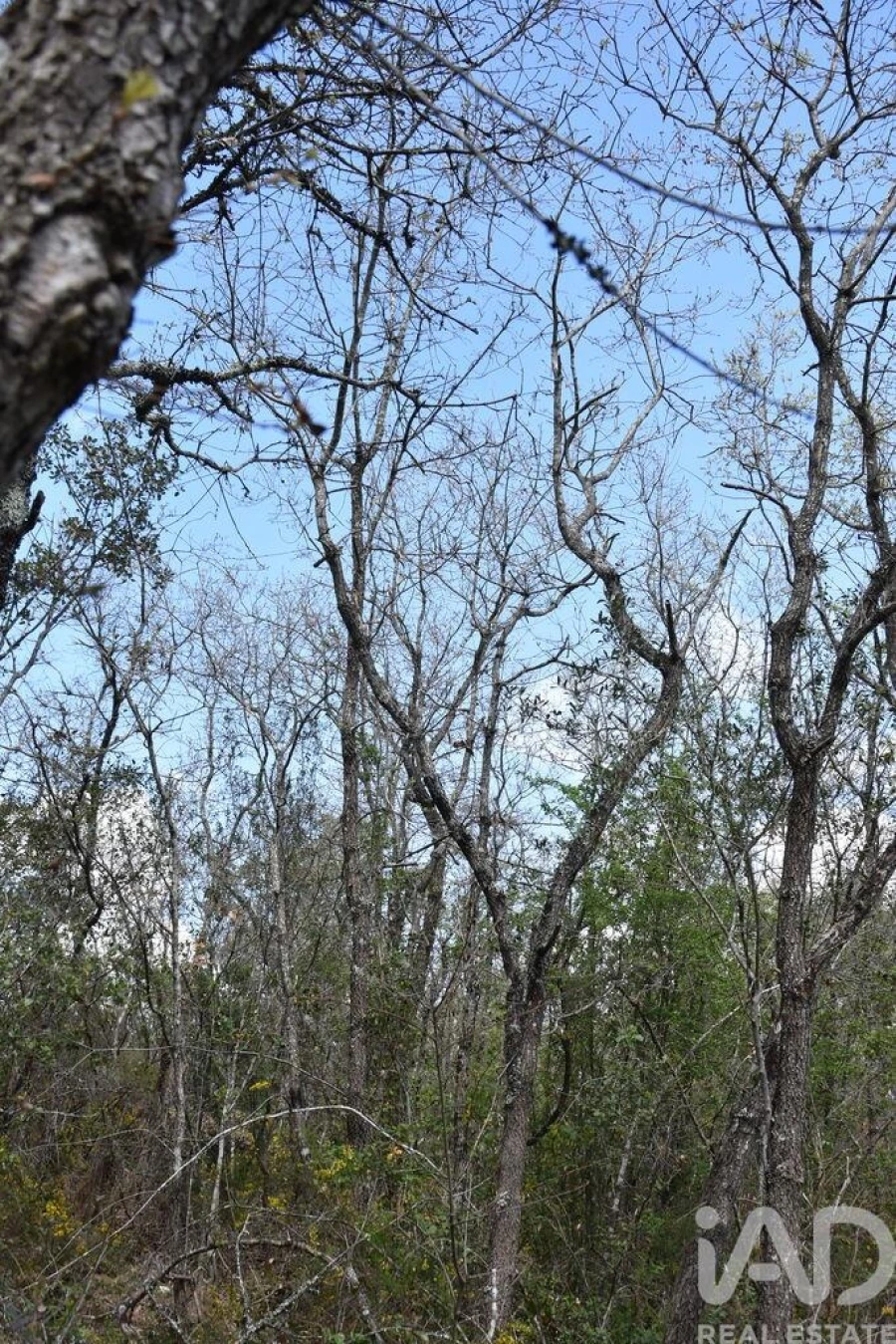 Terreno para Venda em Chãos Foto 20
