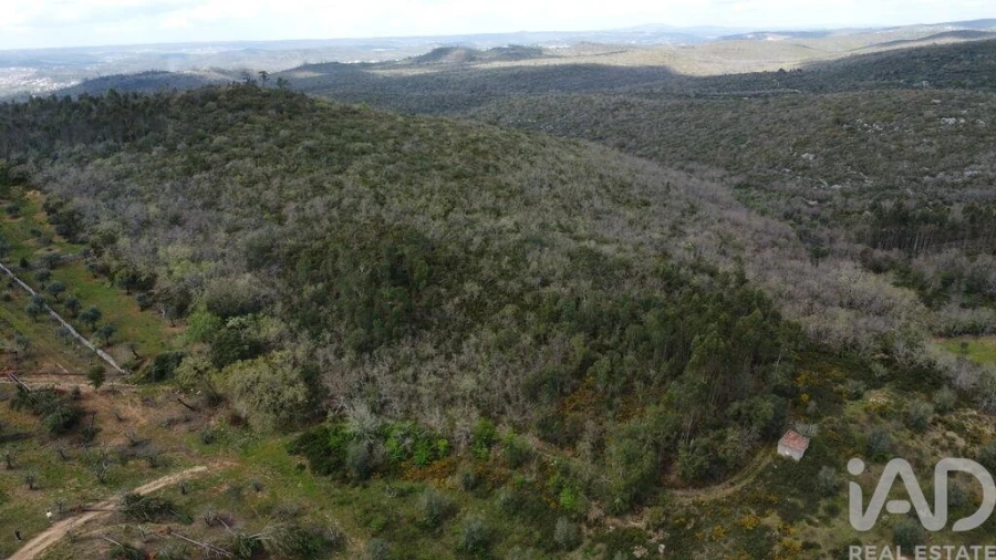 Terreno para Venda em Chãos Foto 2