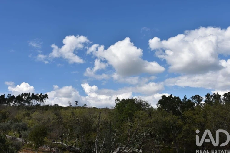 Terreno para Venda em Chãos Foto 30