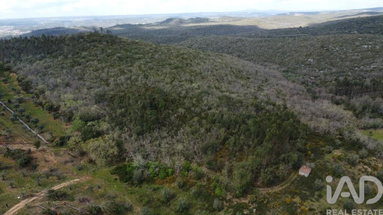 Terreno para Venda em Chãos Foto 2