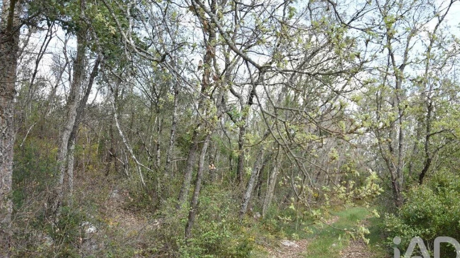Terreno para Venda em Chãos