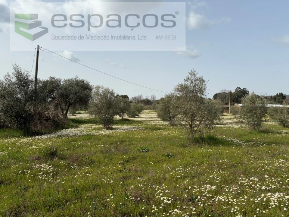 Terreno para Venda em Capinha Foto 3