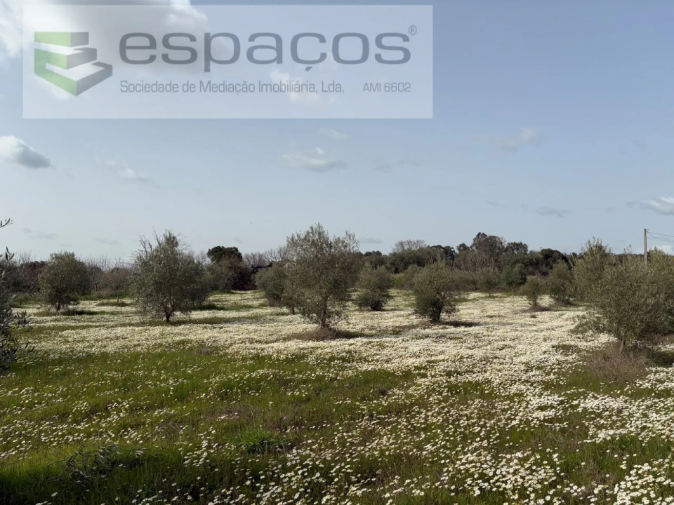 Terreno para Venda em Capinha Foto 8
