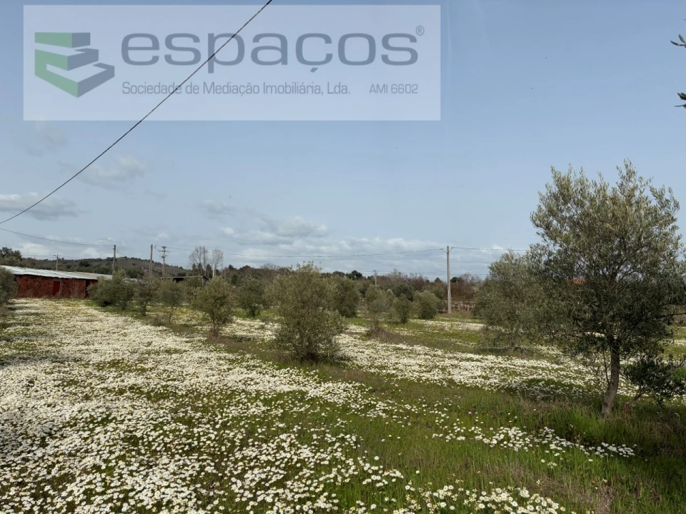 Terreno para Venda em Capinha Foto 9