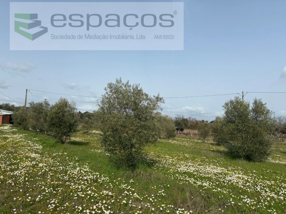 Terreno para Venda em Capinha Foto 10