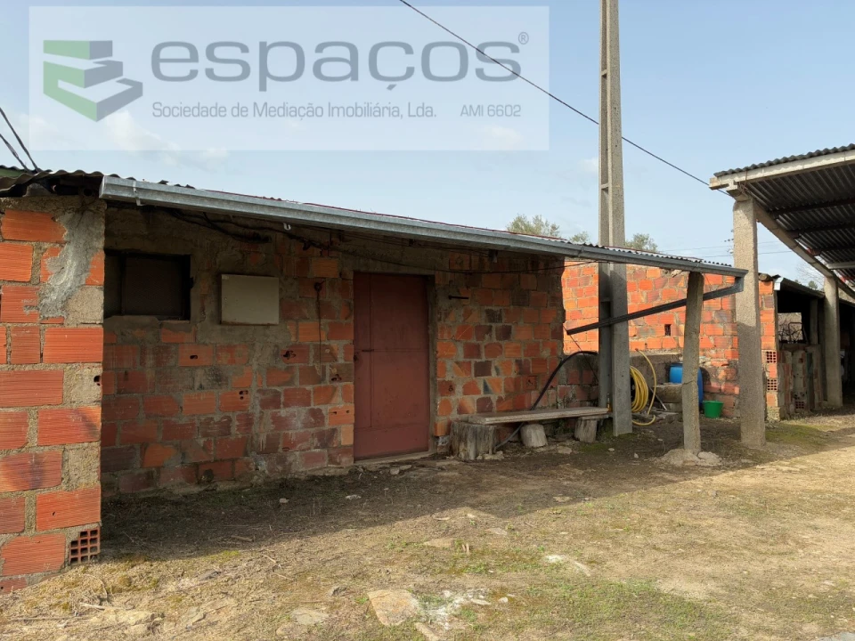 Terreno para Venda em Capinha Foto 14