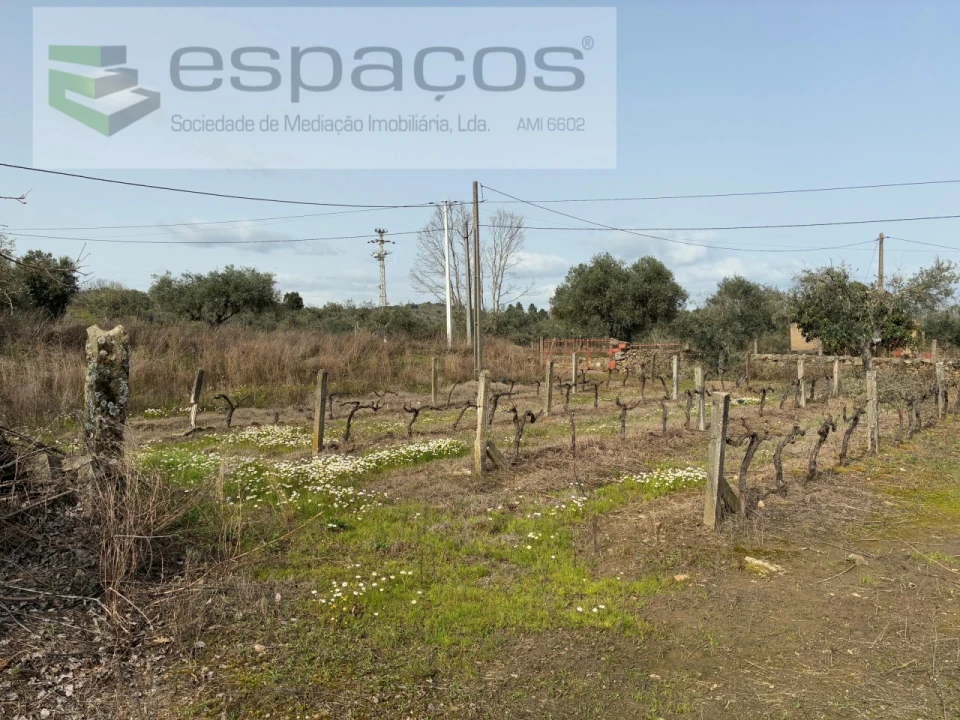 Terreno para Venda em Capinha Foto 19