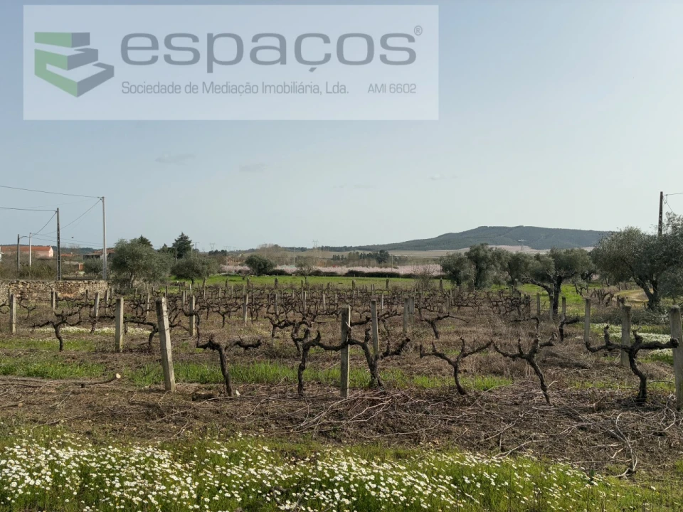 Terreno para Venda em Capinha Foto 20