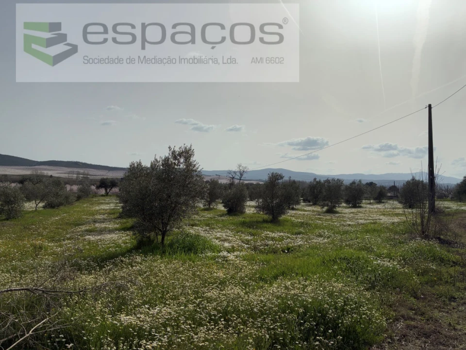 Terreno para Venda em Capinha Foto 23