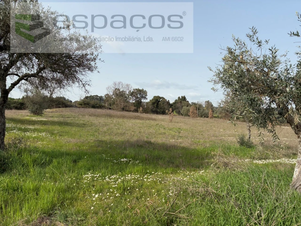 Terreno para Venda em Capinha Foto 25