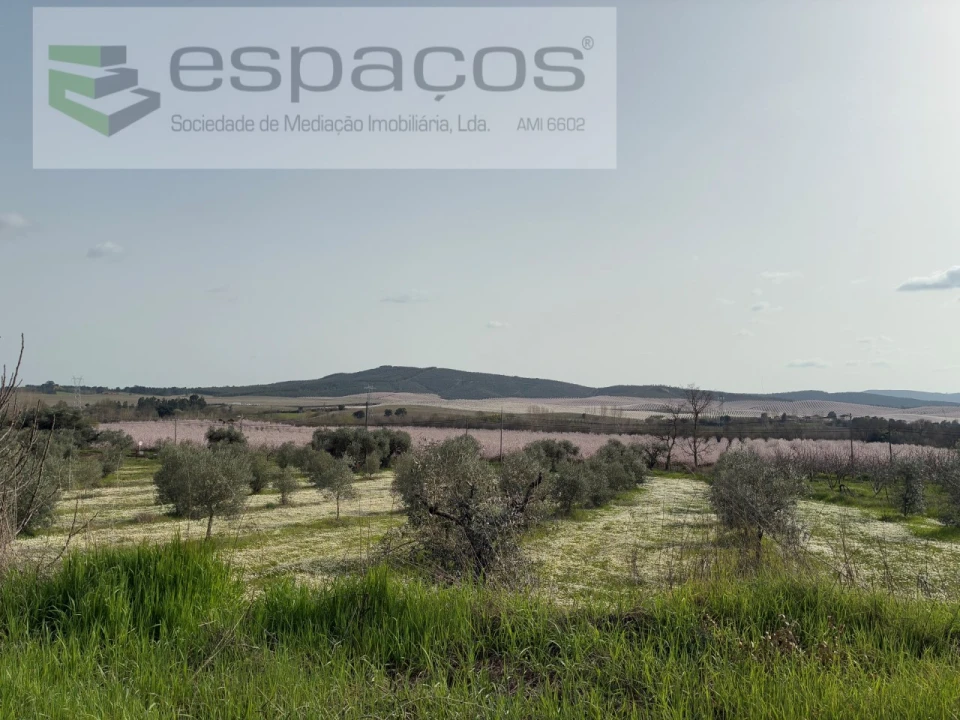 Terreno para Venda em Capinha Foto 4