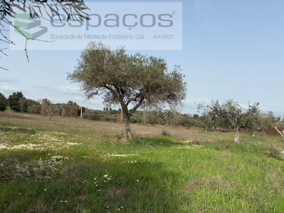 Terreno para Venda em Capinha Foto 26