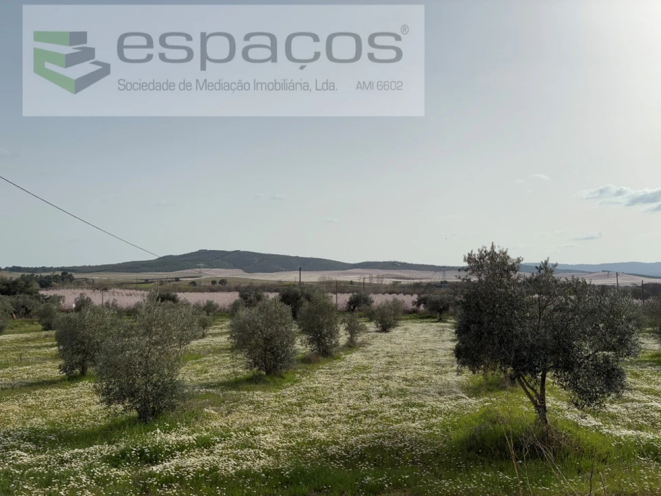 Terreno para Venda em Capinha Foto 30