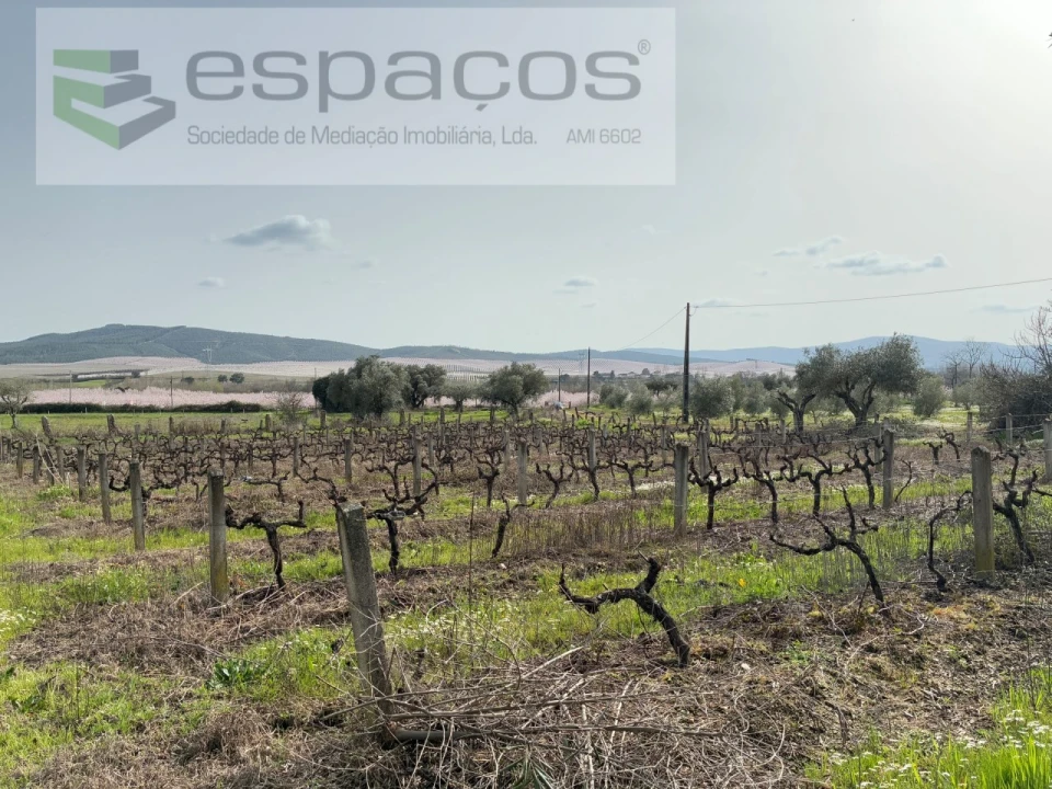 Terreno para Venda em Capinha Foto 22