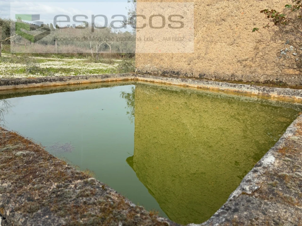 Terreno para Venda em Capinha Foto 32
