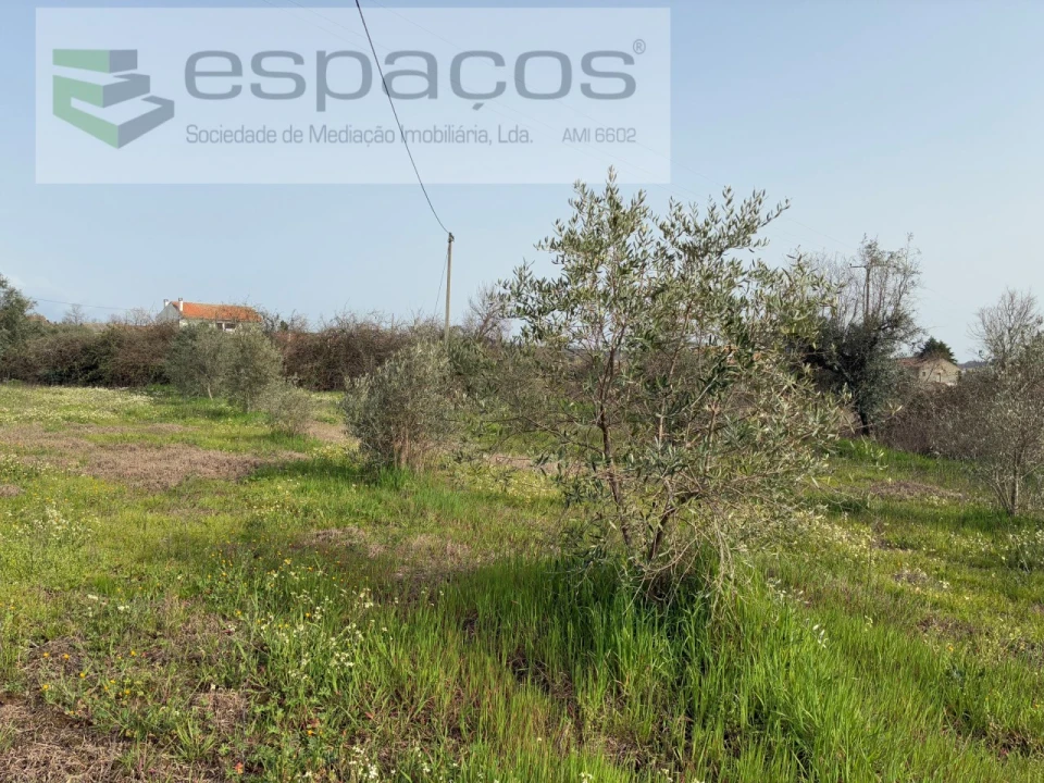 Terreno para Venda em Capinha Foto 36