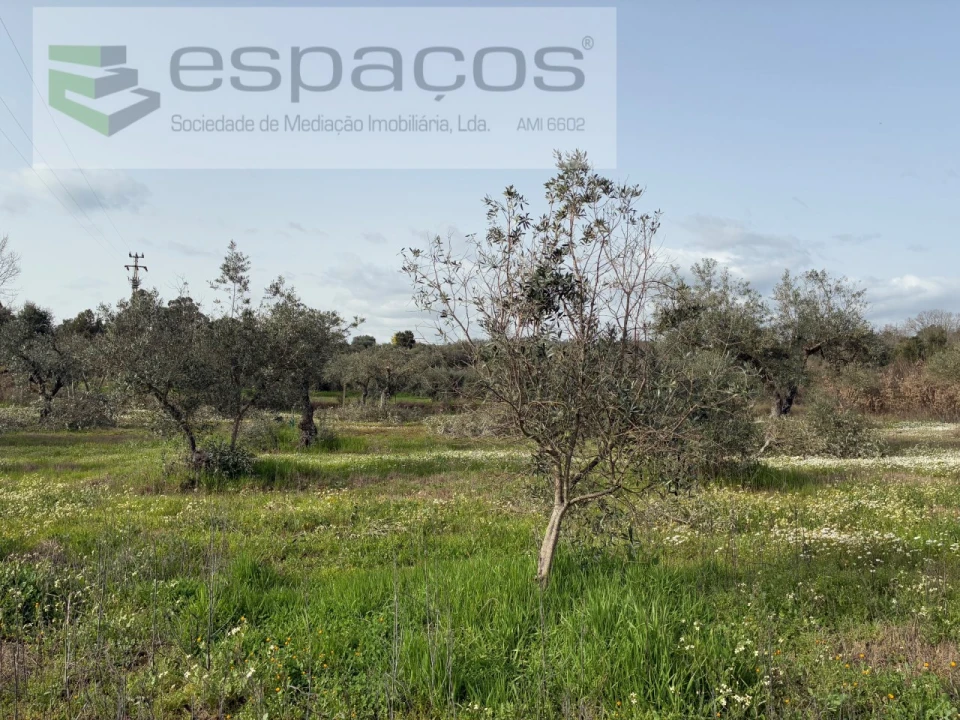 Terreno para Venda em Capinha Foto 40