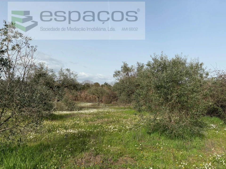 Terreno para Venda em Capinha Foto 41