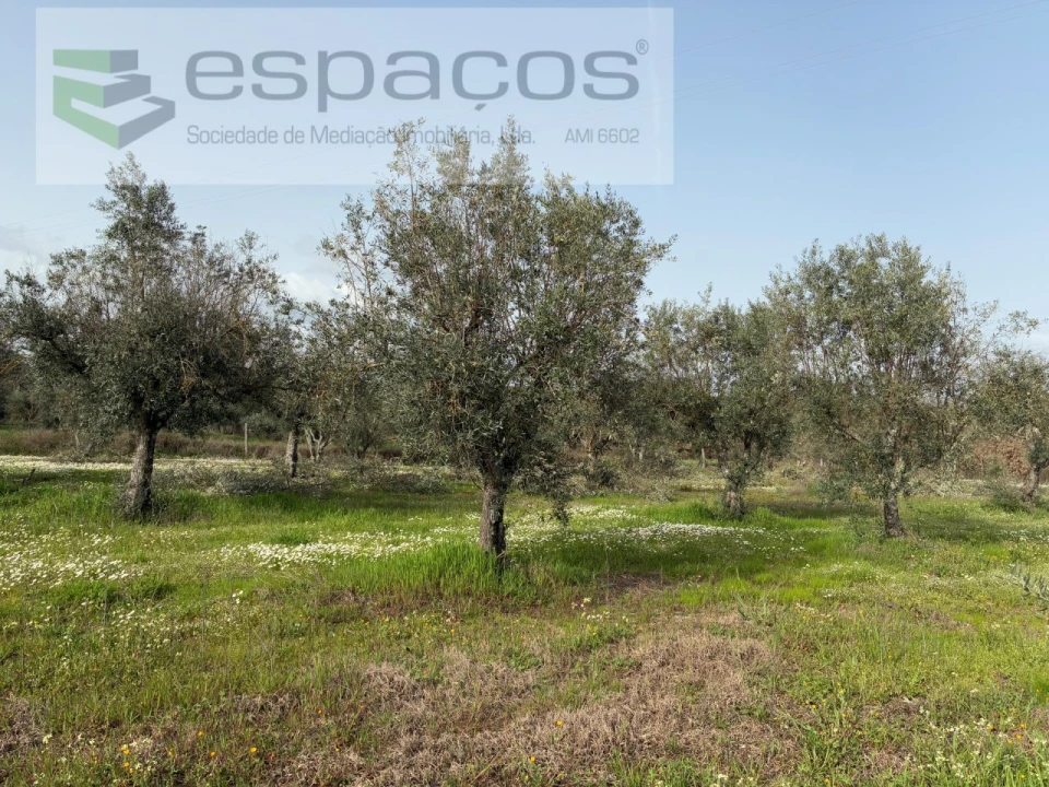 Terreno para Venda em Capinha Foto 42