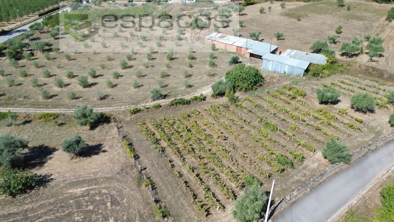 Terreno para Venda em Capinha Foto 14