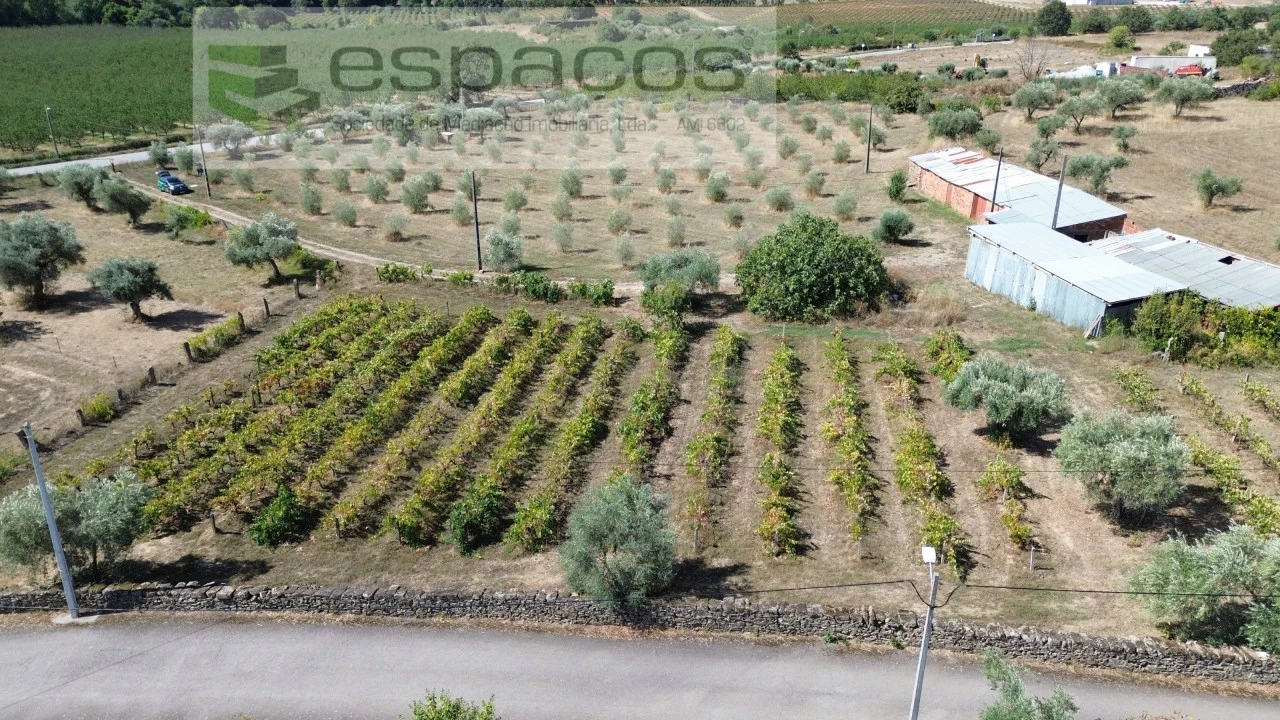 Terreno para Venda em Capinha Foto 1