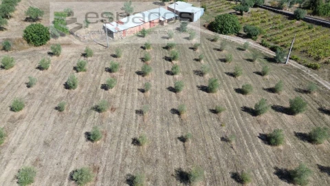 Terreno para Venda em Capinha
