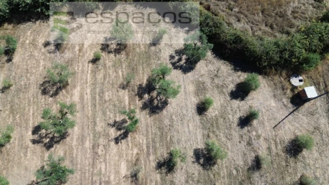 Terreno para Venda em Capinha