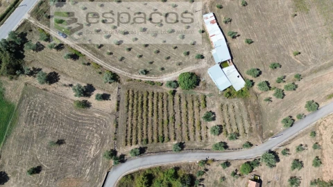 Terreno para Venda em Capinha
