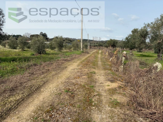 Terreno para Venda em Capinha Foto 2