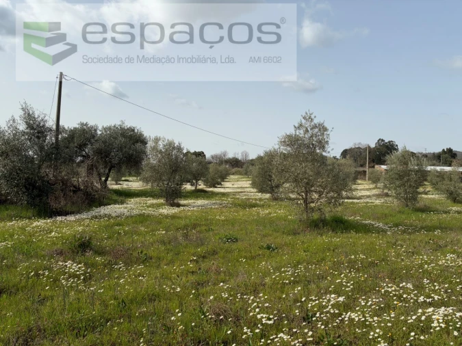 Terreno para Venda em Capinha Foto 3