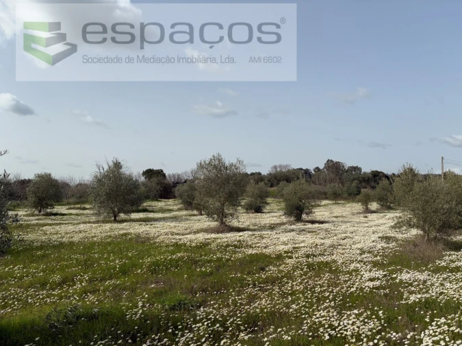 Terreno para Venda em Capinha Foto 8