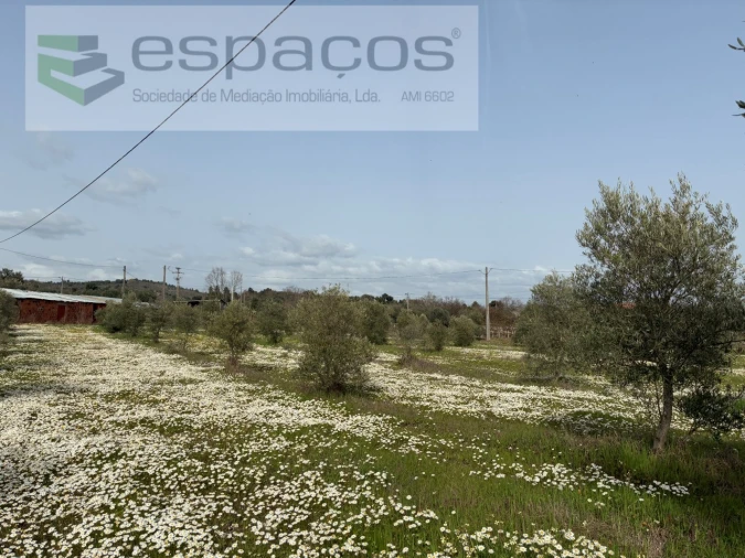 Terreno para Venda em Capinha Foto 9