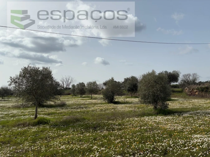 Terreno para Venda em Capinha Foto 11