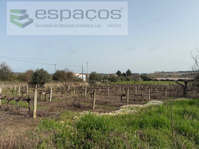 Terreno para Venda em Capinha Foto 18