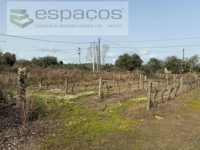 Terreno para Venda em Capinha Foto 19